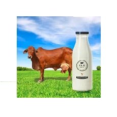 Cow Milk